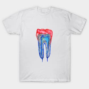 Tooth T-Shirt